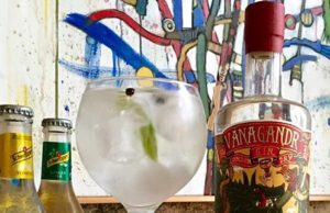 Vánagandr Gin, artesanal 100% gallega