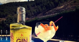 Gin Tonic KARKOM