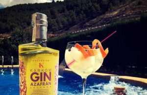 Gin Tonic KARKOM
