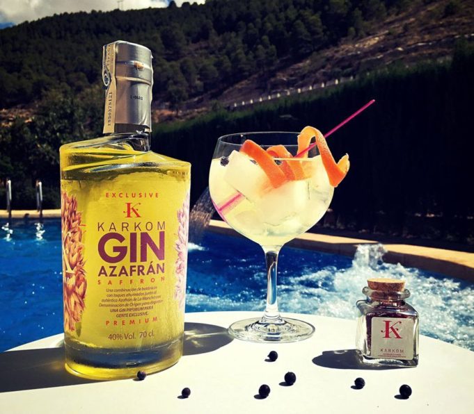 Gin Tonic KARKOM