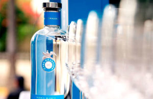 Tequila Casa Dragones joven