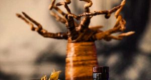 Whitley Neill Gin Ginebra Whitley Neill