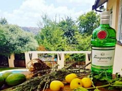Tanqueray Ginebra Tanqueray