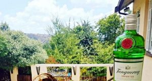 Tanqueray Ginebra Tanqueray