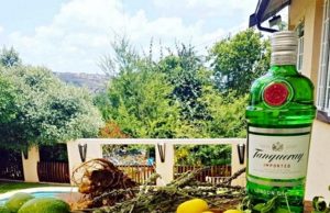 Tanqueray Ginebra Tanqueray