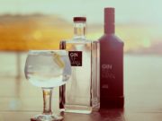 Ginebra Gintleman Premium