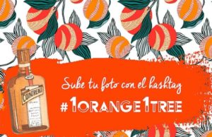 #1orange1tree llega a España de la mano de Cointreau