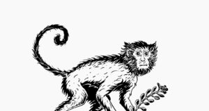 MONKEY 47: 47 grados y 47 botánicos en una sola ginebra