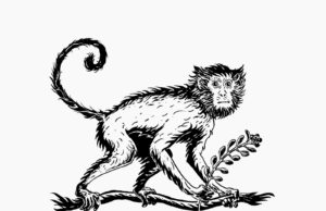 MONKEY 47: 47 grados y 47 botánicos en una sola ginebra