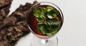 Selma Slabiak Head Barmaid en Edda Bar, Brooklyn