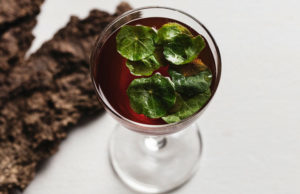 Selma Slabiak Head Barmaid en Edda Bar, Brooklyn