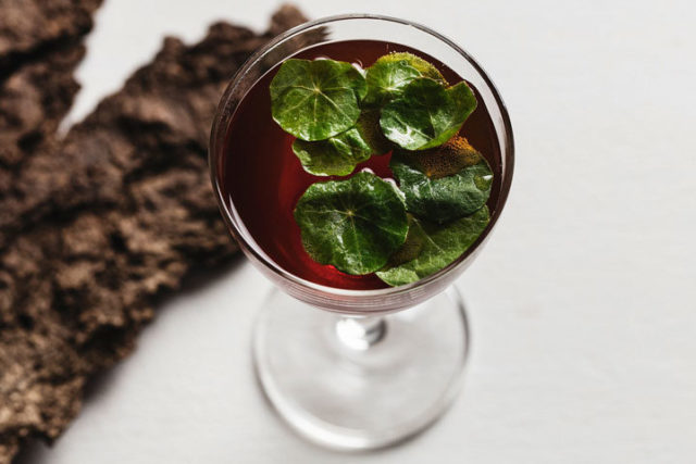 Selma Slabiak Head Barmaid en Edda Bar, Brooklyn