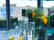 Nº209 Gin Ginebra Nº209