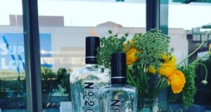 Nº209 Gin Ginebra Nº209