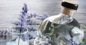 Vodka Crystal Head Vodka Crystal Head