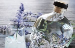 Vodka Crystal Head Vodka Crystal Head