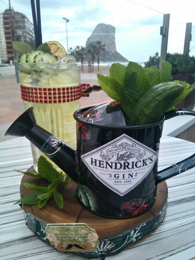 Inusual Hortum para “Regadera Cup Hendriks”.