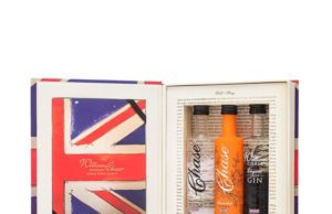 El Libro perfecto para los ginlovers de William Chase