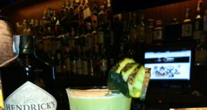 Días de Rosas y Pepinos por Domingo Martin Freile para la Regadera Cup Hendricks