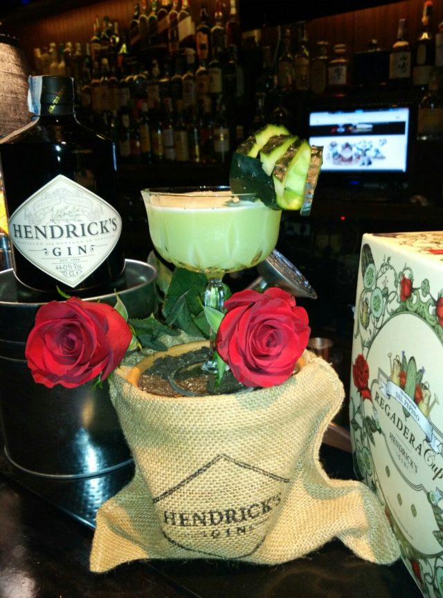 Días de Rosas y Pepinos por Domingo Martin Freile para la Regadera Cup Hendricks