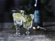 Ginebra VIDDA. Botánicos y naturaleza Nordica