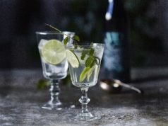 Ginebra VIDDA. Botánicos y naturaleza Nordica