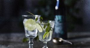 Ginebra VIDDA. Botánicos y naturaleza Nordica