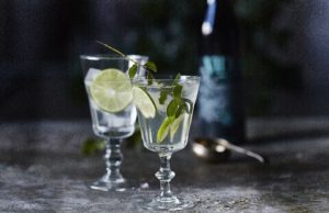 Ginebra VIDDA. Botánicos y naturaleza Nordica