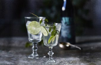 Ginebra VIDDA. Botánicos y naturaleza Nordica