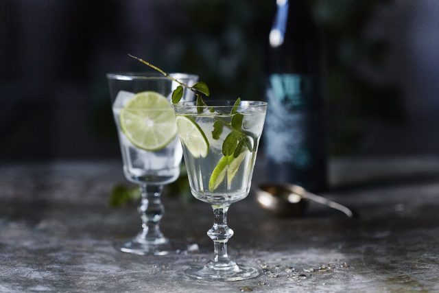 Ginebra VIDDA. Botánicos y naturaleza Nordica