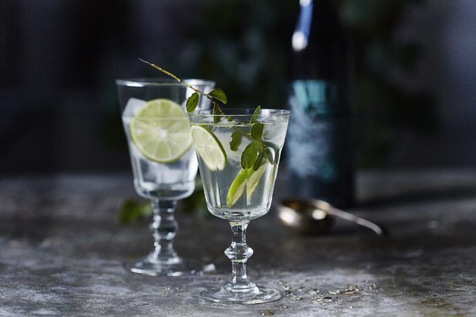 Ginebra VIDDA. Botánicos y naturaleza Nordica