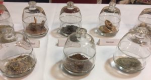 Como hacer Vermut casero