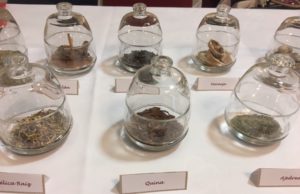 Como hacer Vermut casero