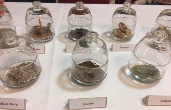 Como hacer Vermut casero