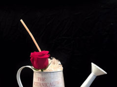 Coctel Laureen para «Regadera Cup Hendriks»