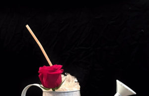 Coctel Laureen para «Regadera Cup Hendriks»