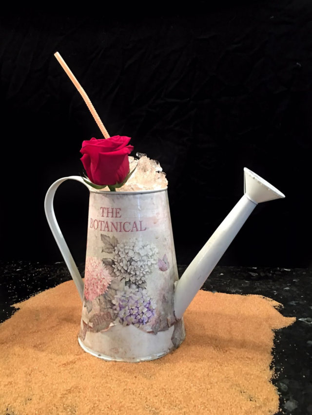 Coctel Laureen para «Regadera Cup Hendriks»