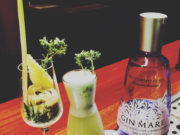 Alcachofa Power para Mediderranean Inspirations Gin Mare