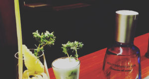 Alcachofa Power para Mediderranean Inspirations Gin Mare