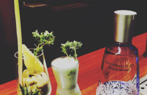 Alcachofa Power para Mediderranean Inspirations Gin Mare