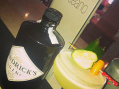 Sorpresa Meditarranéa para Regadera Cup Hendrick´s