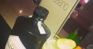 Sorpresa Meditarranéa para Regadera Cup Hendrick´s