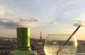 La botella de G´Vine se transforma