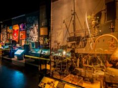 Experiencia Licor 43