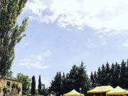 Cerveza Moritz Cítrics