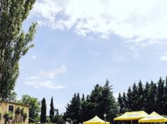 Cerveza Moritz Cítrics