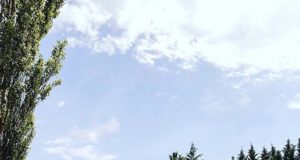 Cerveza Moritz Cítrics