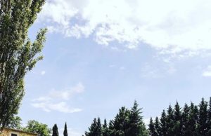 Cerveza Moritz Cítrics