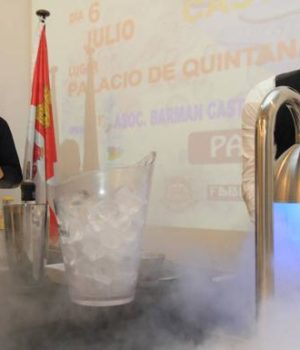 Gin Fashion Professional Castilla Leon