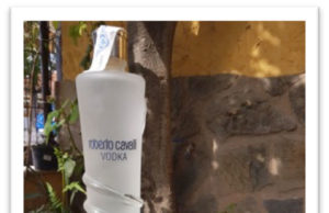 Roberto Cavalli Vodka y The Water Company